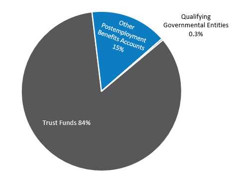 Pie Chart Non-Retirement Program Allocation June 30 2025